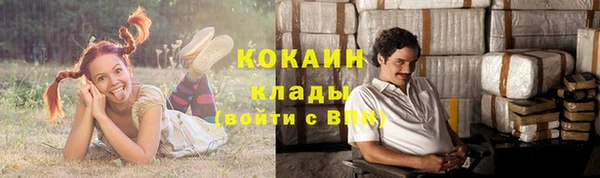 трава Балахна
