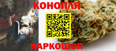 сатива Ленинск-Кузнецкий