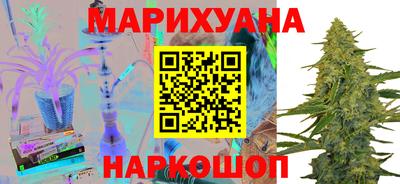 сатива Ленинск-Кузнецкий