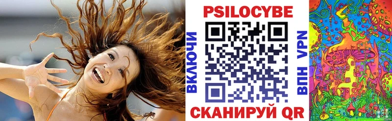 Псилоцибиновые грибы Psilocybine cubensis купить наркотики цена кракен зеркало Белебей